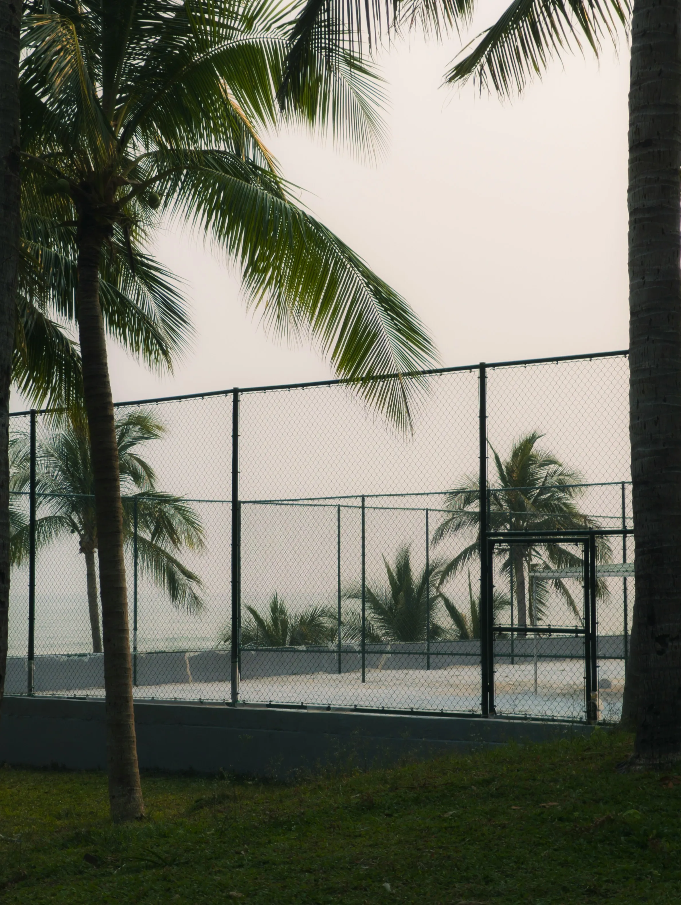 Cals Eden Resort grounds with palm trees and a tennis/padel court.